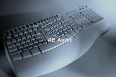AE Audit